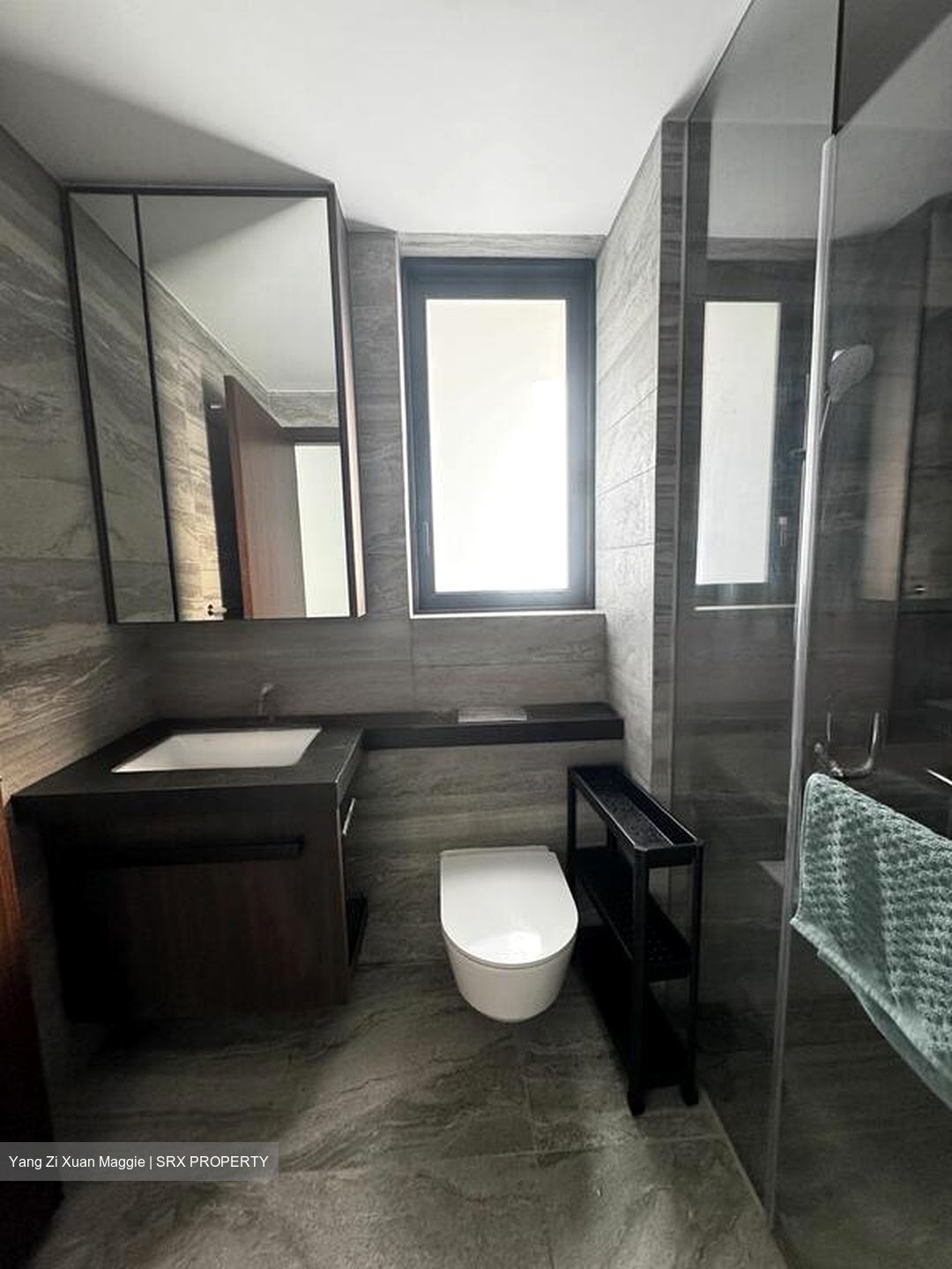 One Pearl Bank (D3), Apartment #462513151